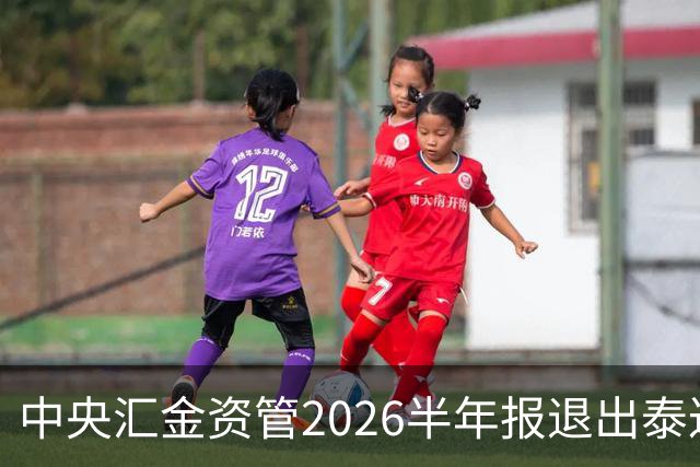 中央汇金资管2026半年报退出泰达股份前十大股东名单