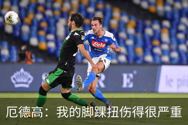 厄德高：我的脚踝扭伤得很严重