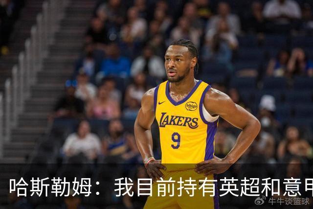哈斯勒姆：我目前持有英超和意甲两家足球俱乐部的股份