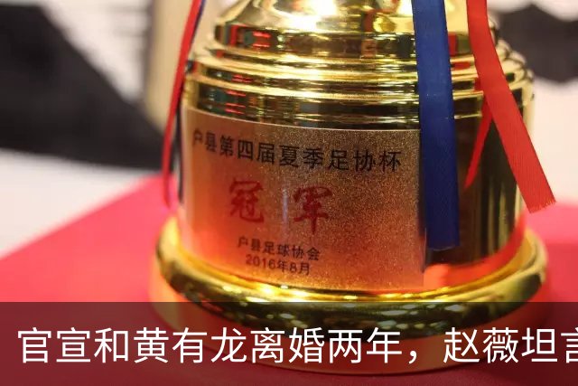 官宣和黄有龙离婚两年，赵薇坦言心头大患，幸亏有个男人给她撑腰