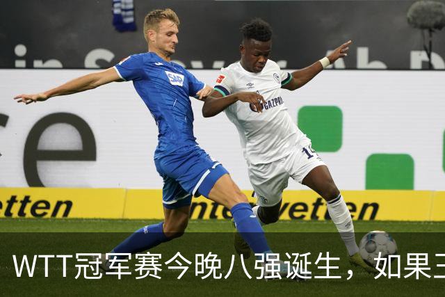 WTT冠军赛今晚八强诞生，如果王曼昱击败陈熠，将收获4大利好
